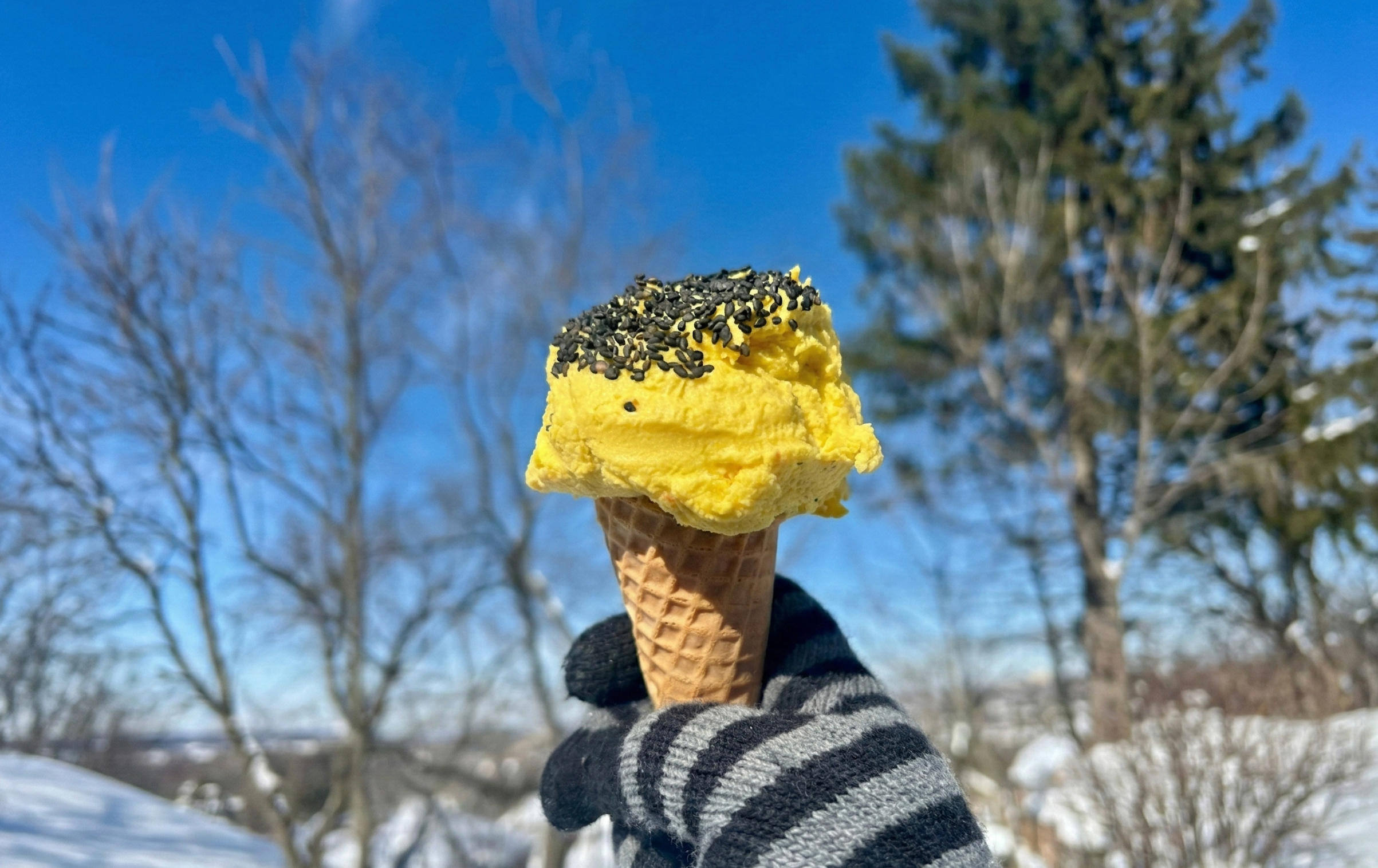 No SCM? How to Make Snow Ice Cream + Fix Soupy Sadness